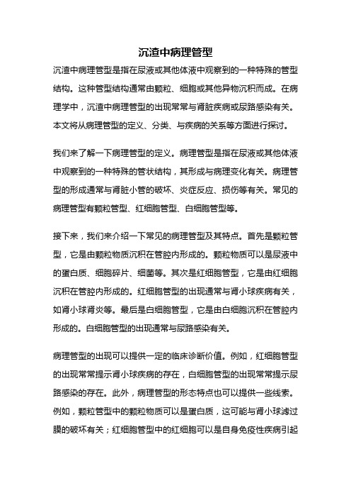 沉渣中病理管型