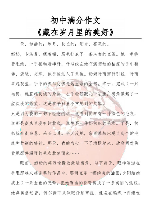 初中满分作文 《藏在岁月里的美好》