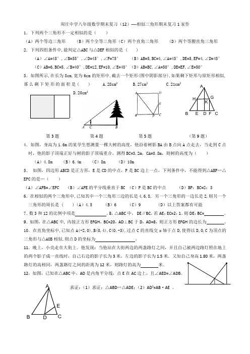 周庄中学八年级数学期末复习(12)----相似三角形期末复习1家作