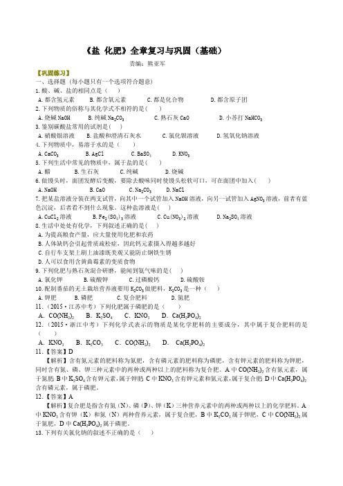 《盐化肥》全章复习与巩固(基础)巩固练习(最新整理)