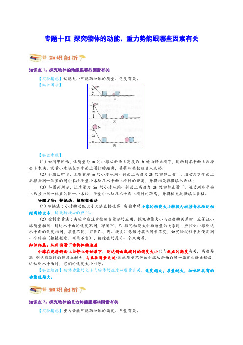 专题十四 探究物体的动能、重力势能跟哪些因素有关(解析版)