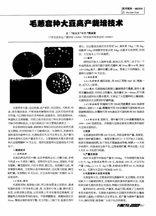 毛葱套种大豆高产栽培技术