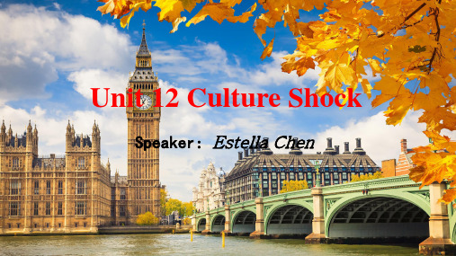 北师大版高中英语必修四课件Unit 12 Culture Shock