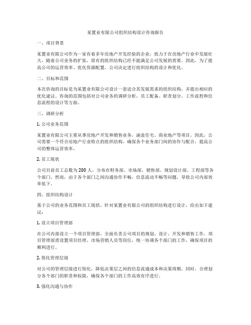 某置业有限公司组织结构设计咨询报告