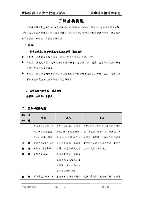 18儿童神经精神学之三种建构类型