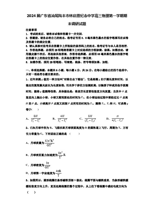 2024届广东省汕尾陆丰市林启恩纪念中学高三物理第一学期期末调研试题含解析