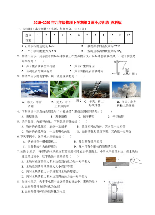 2019-2020年九年级物理下学期第3周小步训练 苏科版