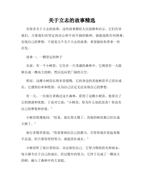 关于立志的故事精选