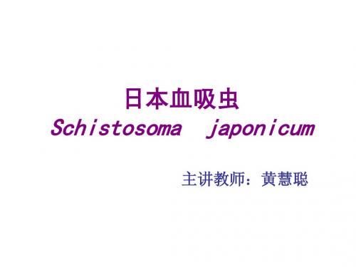 血吸虫姜片虫