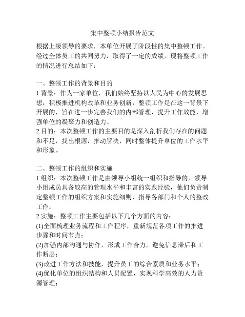 集中整顿小结报告范文