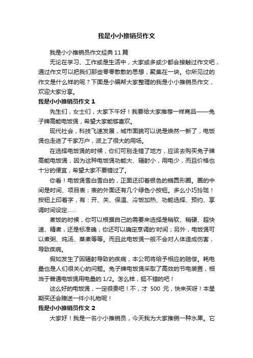 我是小小推销员作文经典11篇