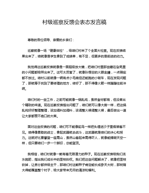 村级巡察反馈会表态发言稿