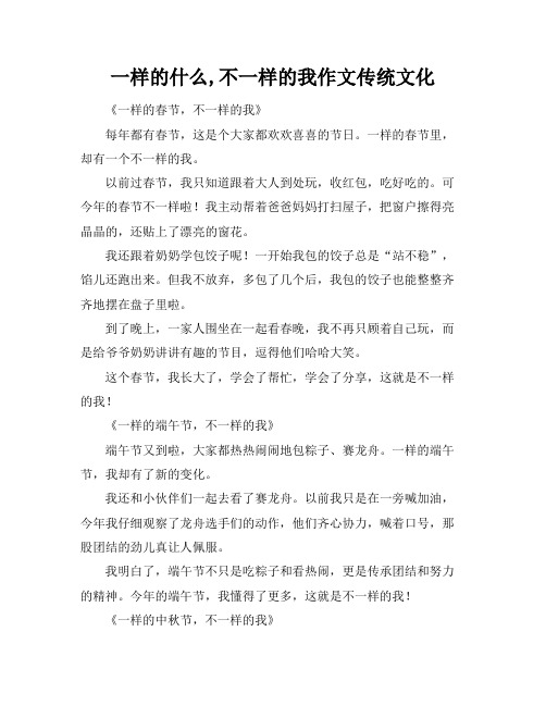 一样的什么,不一样的我作文传统文化