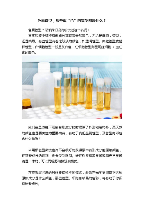 色素管型，那些重“色”的管型都是什么？