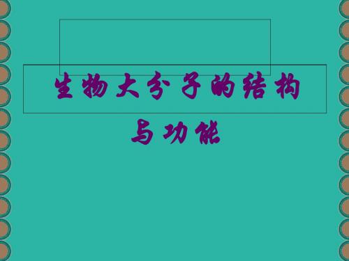 专题生物大分子的结构与功能PPT课件