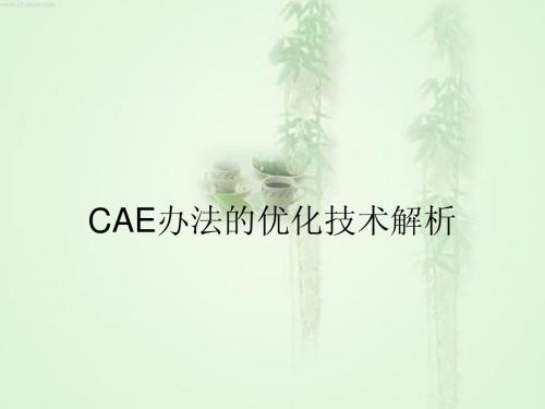 CAE办法的优化技术解析