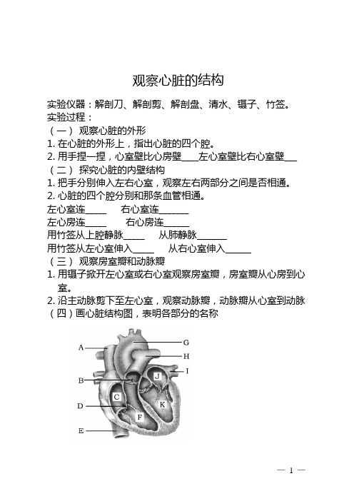 观察心脏的结构