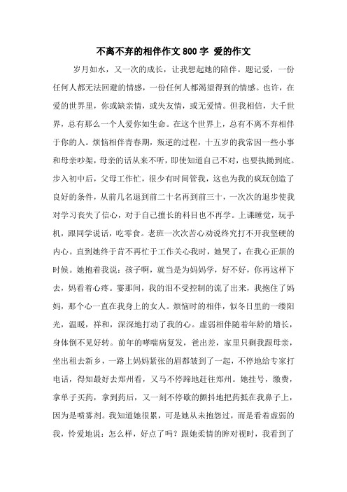 不离不弃的相伴作文800字 爱的作文