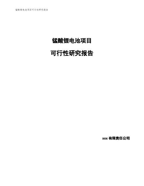 锰酸锂电池项目可行性研究报告