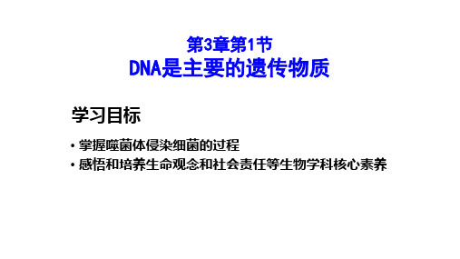 噬菌体侵染大肠杆菌的实验 高中生物必修二教学课件PPT 人教版