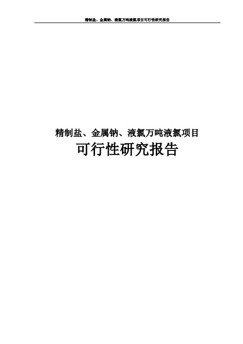 精制盐、金属钠、液氯万吨液氯生产项目可行性研究报告