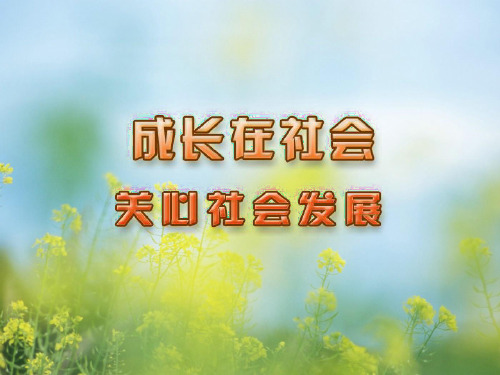 关心社会发展PPT教学课件