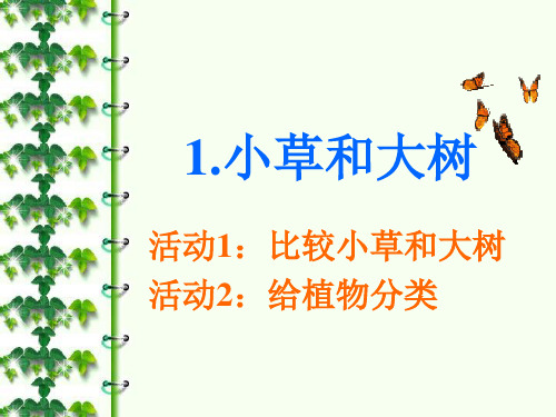 六年级上册科学课件 小草和大树冀教版 (共16页)PPT