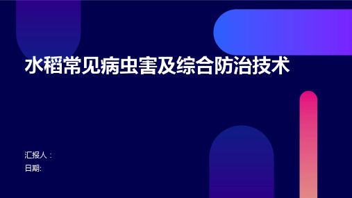 水稻常见病虫害及综合防治技术