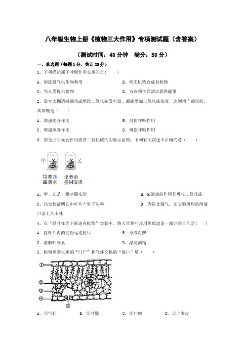 八年级生物上册《植物三大作用》专项测试题(含答案)