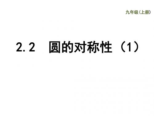 苏科版数学九年级上册2.2圆的对称性 课件(共17张PPT)