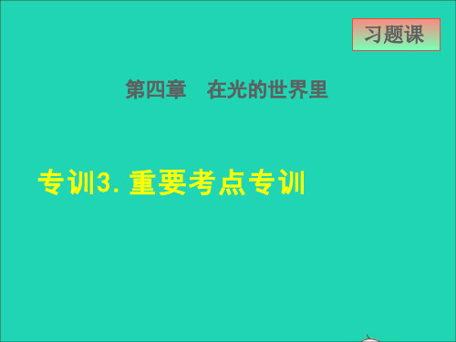 八年级物理上册第四章在光的世界里4、8走进彩色世界高频考点专训3重要考点专训课件新版教科版