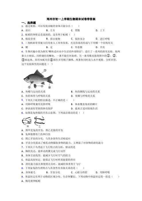 郑州市初一上学期生物期末试卷带答案