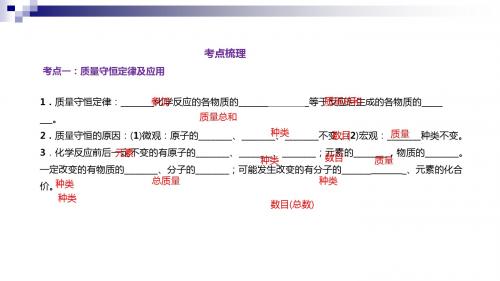 中考化学总复习第13节物质守恒定律(精讲)课件