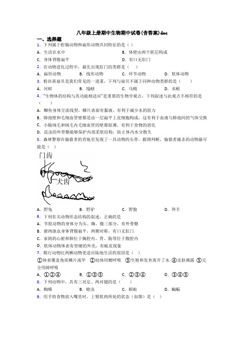 八年级上册期中生物期中试卷(含答案)doc