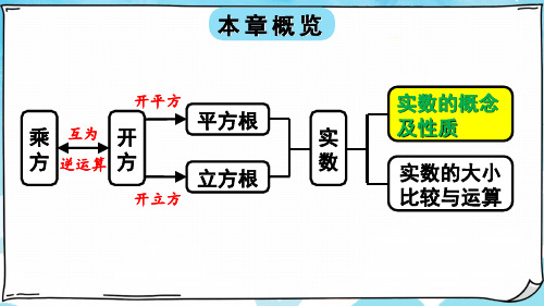 七年级数学下册教学课件《实数的概念》