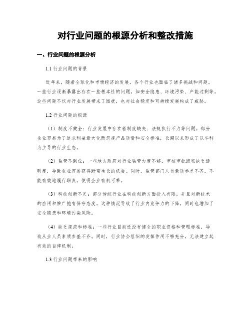 对行业问题的根源分析和整改措施