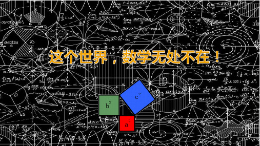 中考数学专题复习拓展勾股定理与图形面积关系公开课精品课件