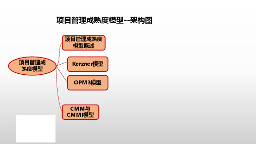 高项--项目管理成熟度模型