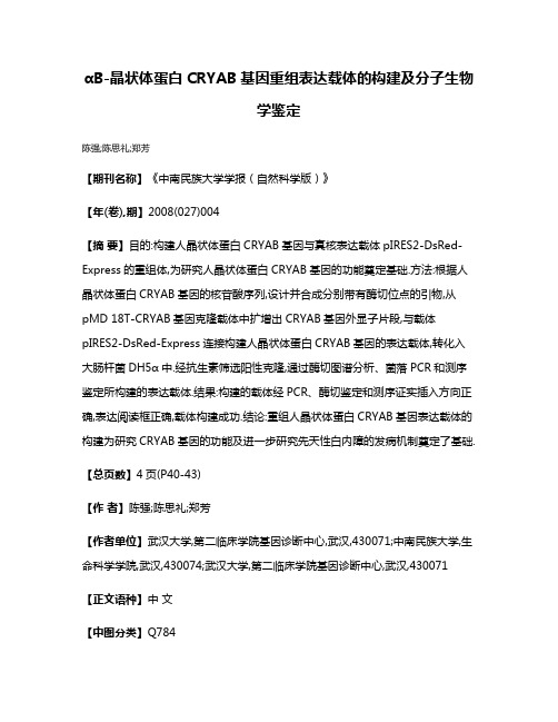 αB-晶状体蛋白CRYAB基因重组表达载体的构建及分子生物学鉴定