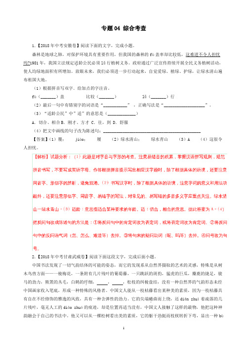 (2020编)中考语文试题分项版解析汇编：(第01期)专题04_综合考查(含解析)-推荐