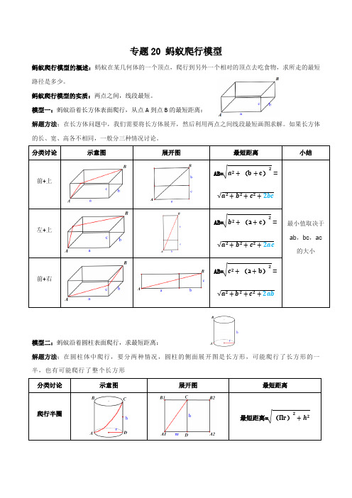 蚂蚁爬行模型(原卷版)