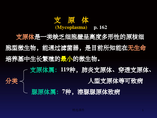 支原体、衣原体、立克次体、放线菌