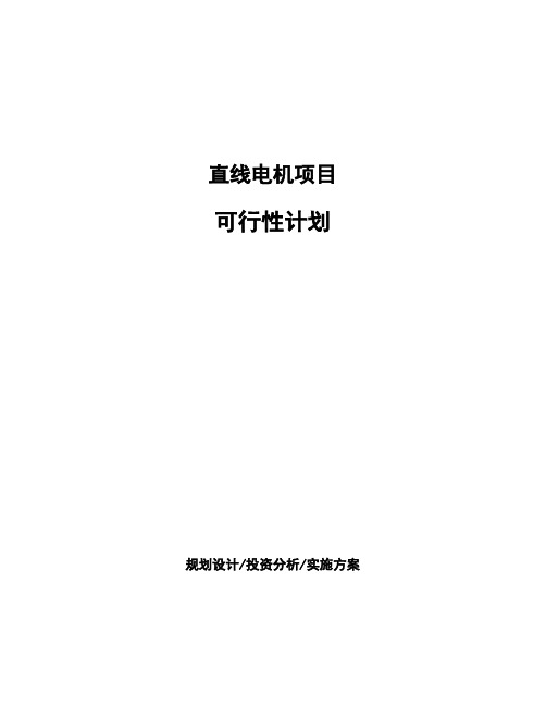 直线电机项目可行性计划