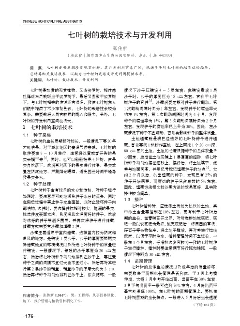 七叶树的栽培技术与开发利用