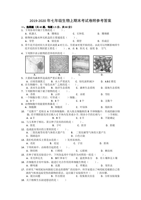 2019-2020年七年级生物上期末考试卷附参考答案