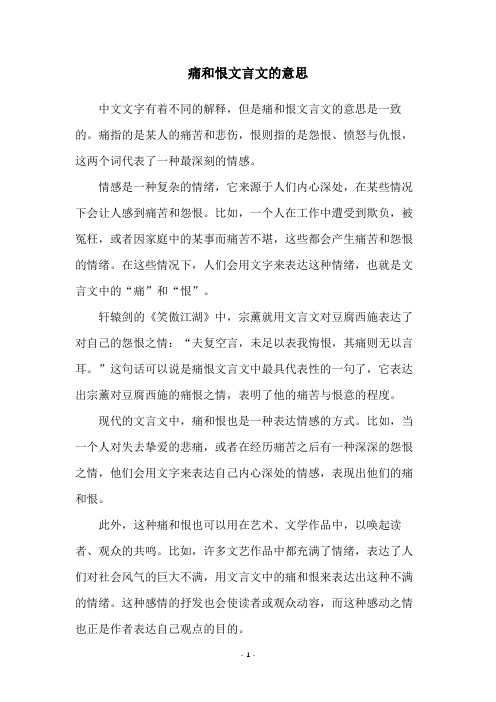 痛和恨文言文的意思