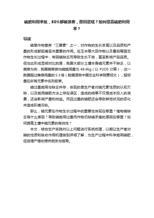 磷肥利用率低，80%都被浪费，原因是啥？如何提高磷肥利用率？