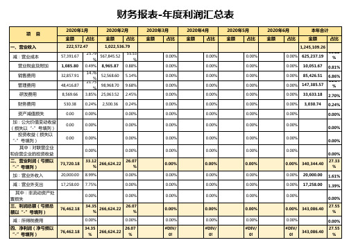 财务报表年度利润汇总表