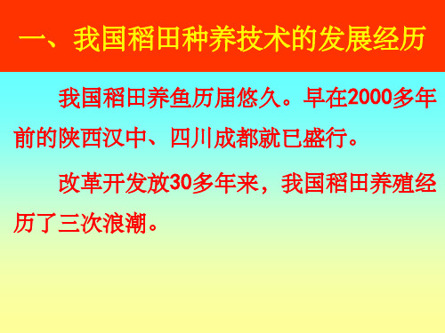 我国稻田种养技术的现状与对策 ppt