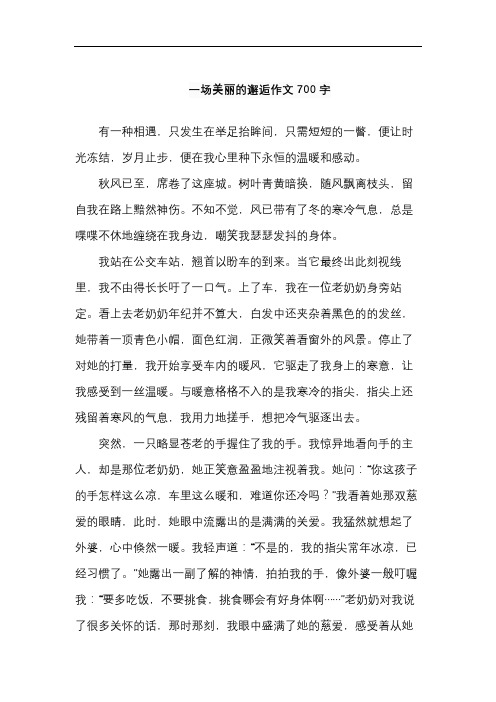 一场美丽的邂逅作文700字